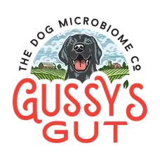 Gussy’s Gut